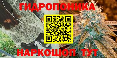 тгк Абинск