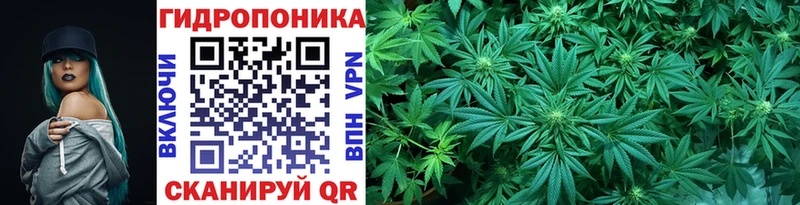 купить наркоту Азнакаево МАРИХУАНА White Widow